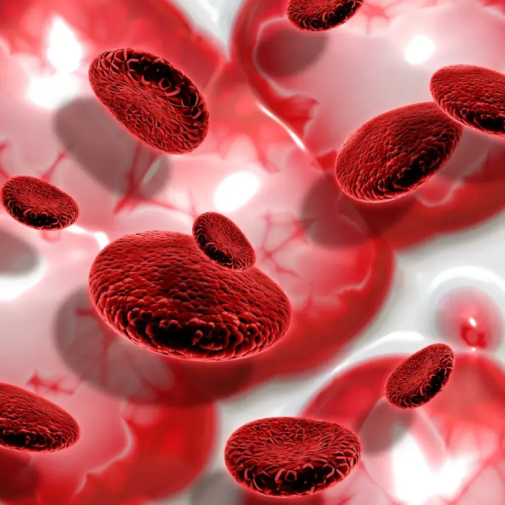 Células sanguíneas representam a condição de anemia aplástica.